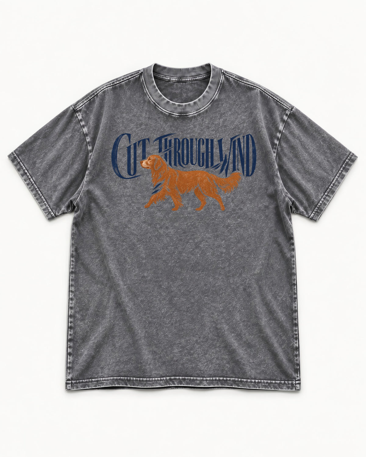 Golden Retriever Cut Through Land Washed Tee in Gray, flat lay product photo