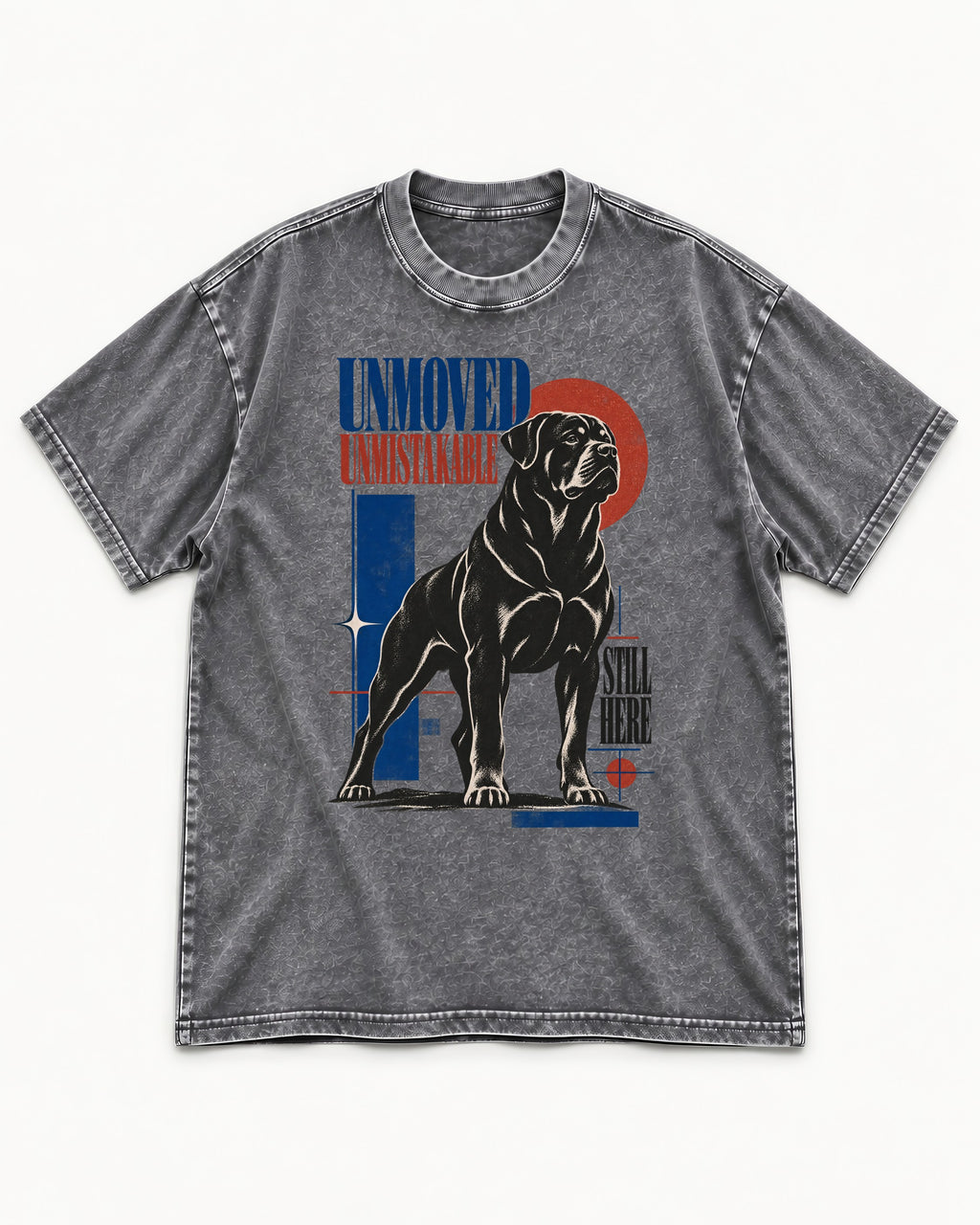 Unmoved Unmistakable Rottweiler Washed Tee in Gray, flat lay product photo
