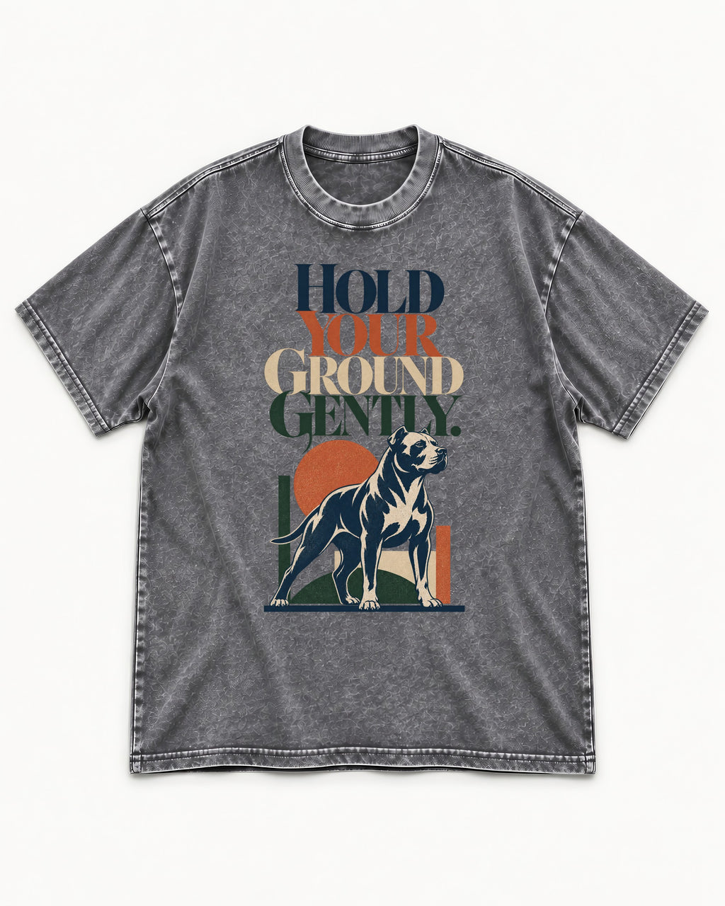 Pitbull Hold Your Ground Gently Standing Dog Graphic Washed Tee in Gray, flat lay product photo