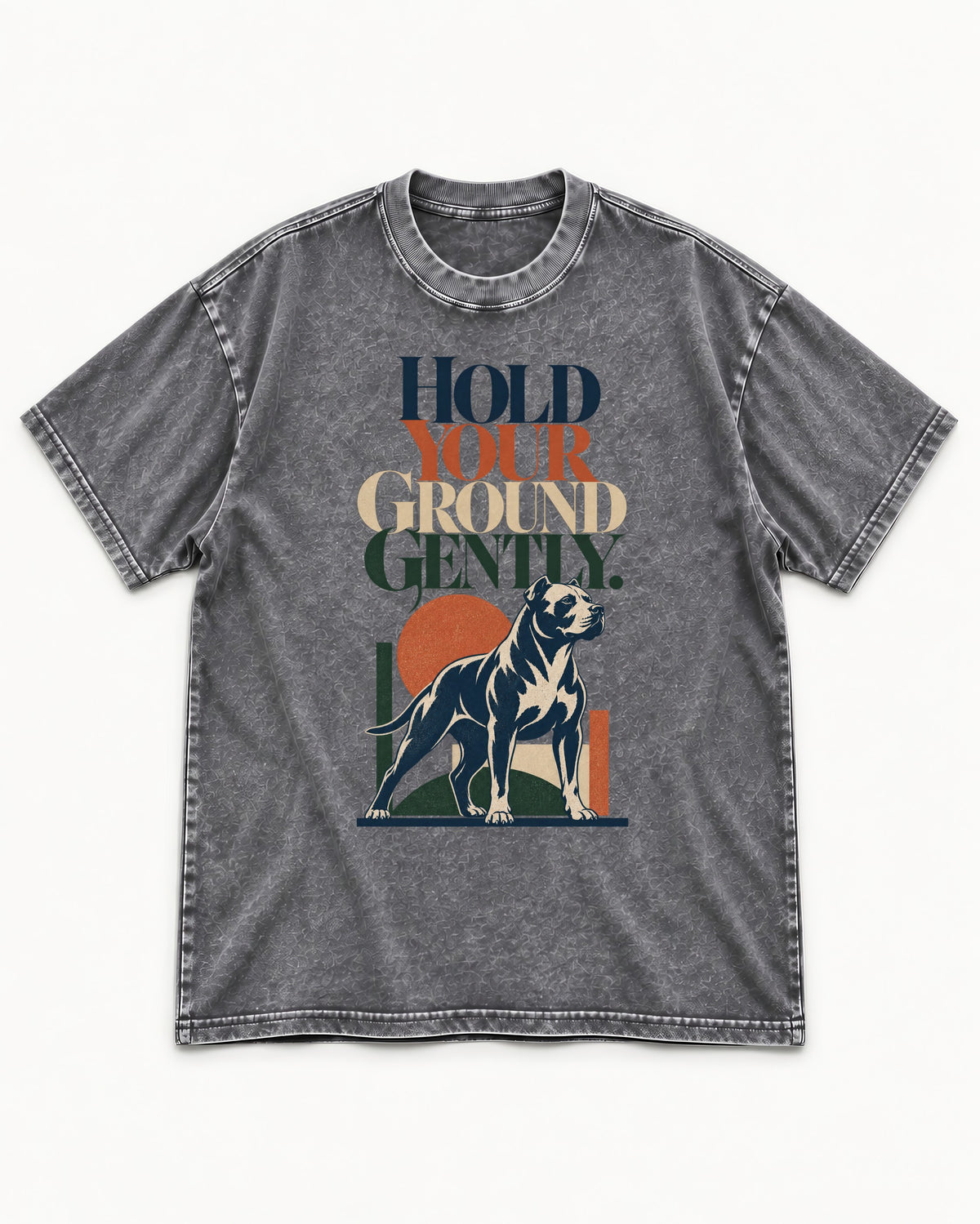 Pitbull Hold Your Ground Gently Standing Dog Graphic Washed Tee in Gray, flat lay product photo