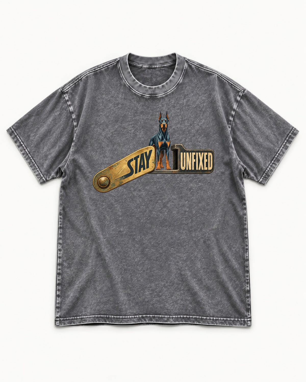 Doberman Stay Unfixed Washed Tee in Gray, flat lay product photo