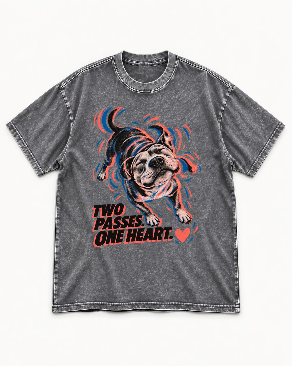 Two Passes One Heart Pitbull Washed Tee in Gray, flat lay product photo