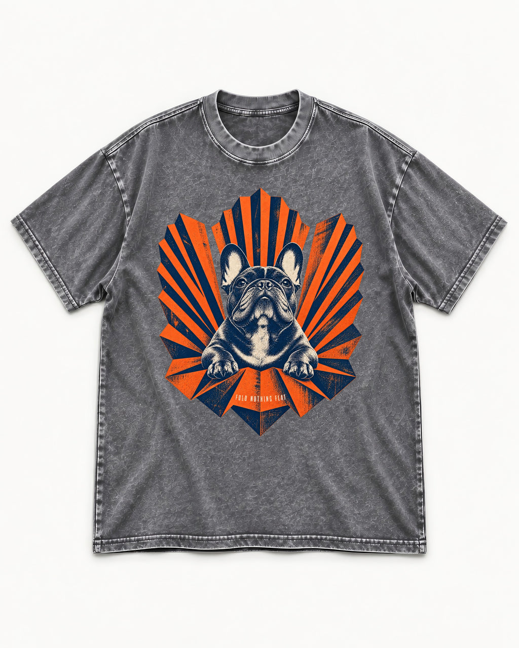 Frenchie Fold Nothing Flat Geometric Fan Graphic Washed Tee in Gray, flat lay product photo