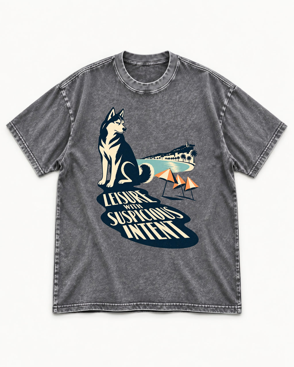 Husky Leisure with Suspicious Intent Washed Tee in Gray, flat lay product photo