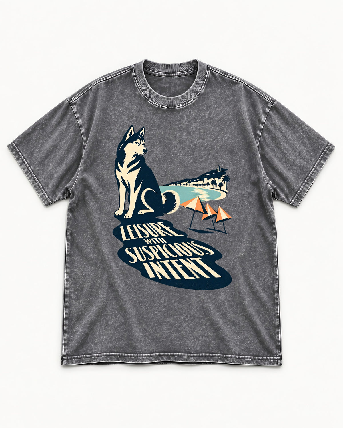 Husky Leisure with Suspicious Intent Washed Tee in Gray, flat lay product photo