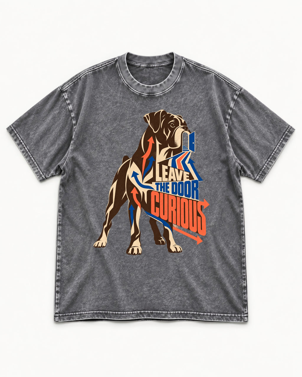 Leave the Door Curious Boxer Doorway Arrow Graphic Washed Tee in Gray, flat lay product photo