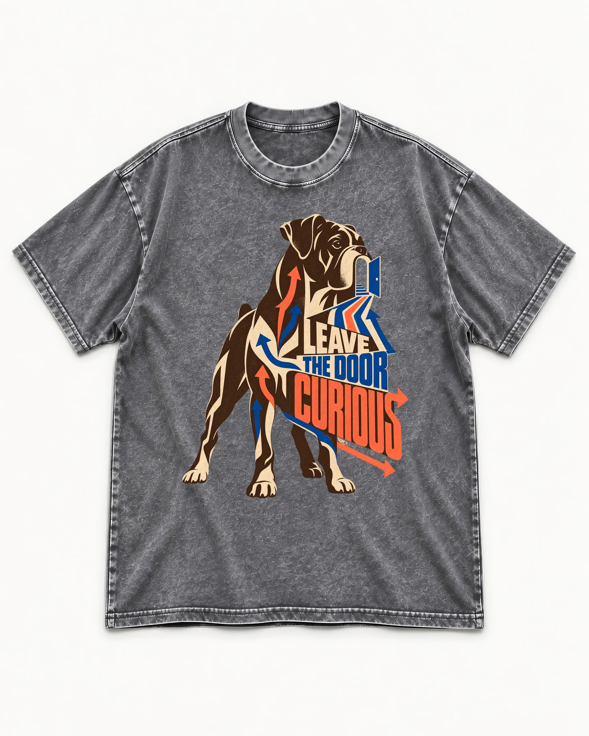 Leave the Door Curious Boxer Doorway Arrow Graphic Washed Tee in Gray, flat lay product photo