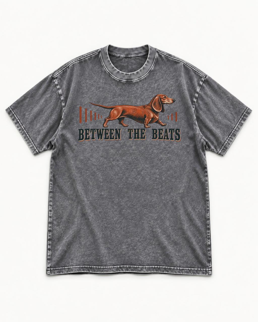 Dachshund Between the Beats Washed Tee in Gray, flat lay product photo