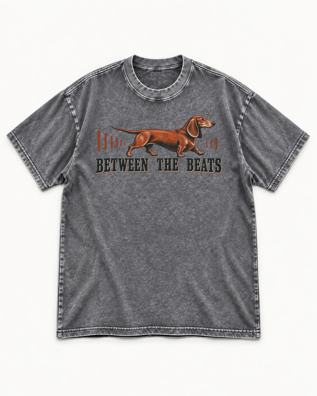 Dachshund Between the Beats Washed Tee in Gray, flat lay product photo