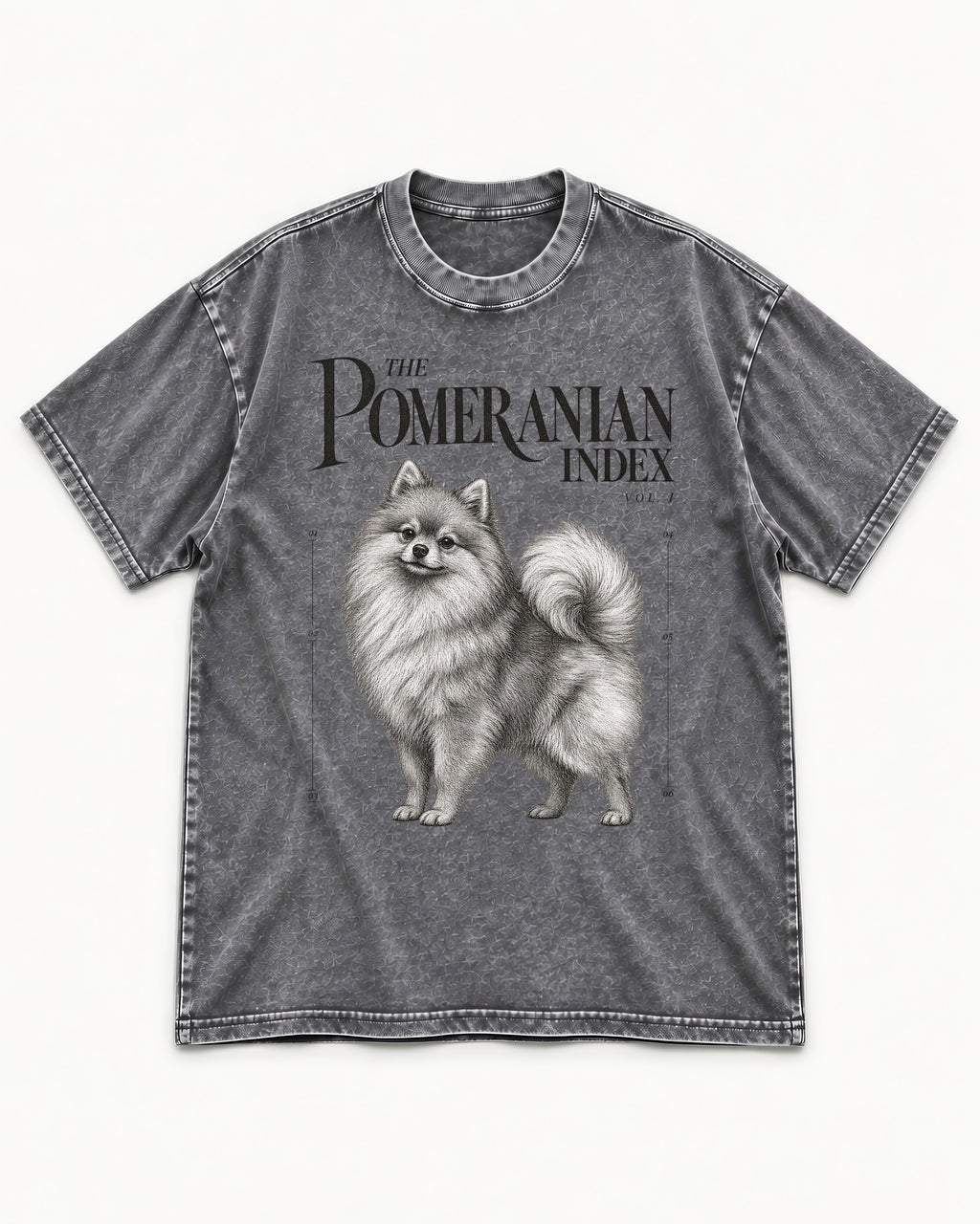 The Pomeranian Index Washed Tee in Gray, flat lay product photo