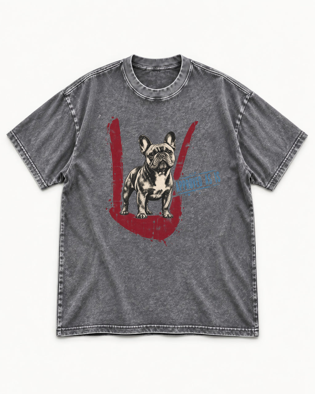 Frenchie Approved As Is Check Mark Graphic Washed Tee in Gray, flat lay product photo