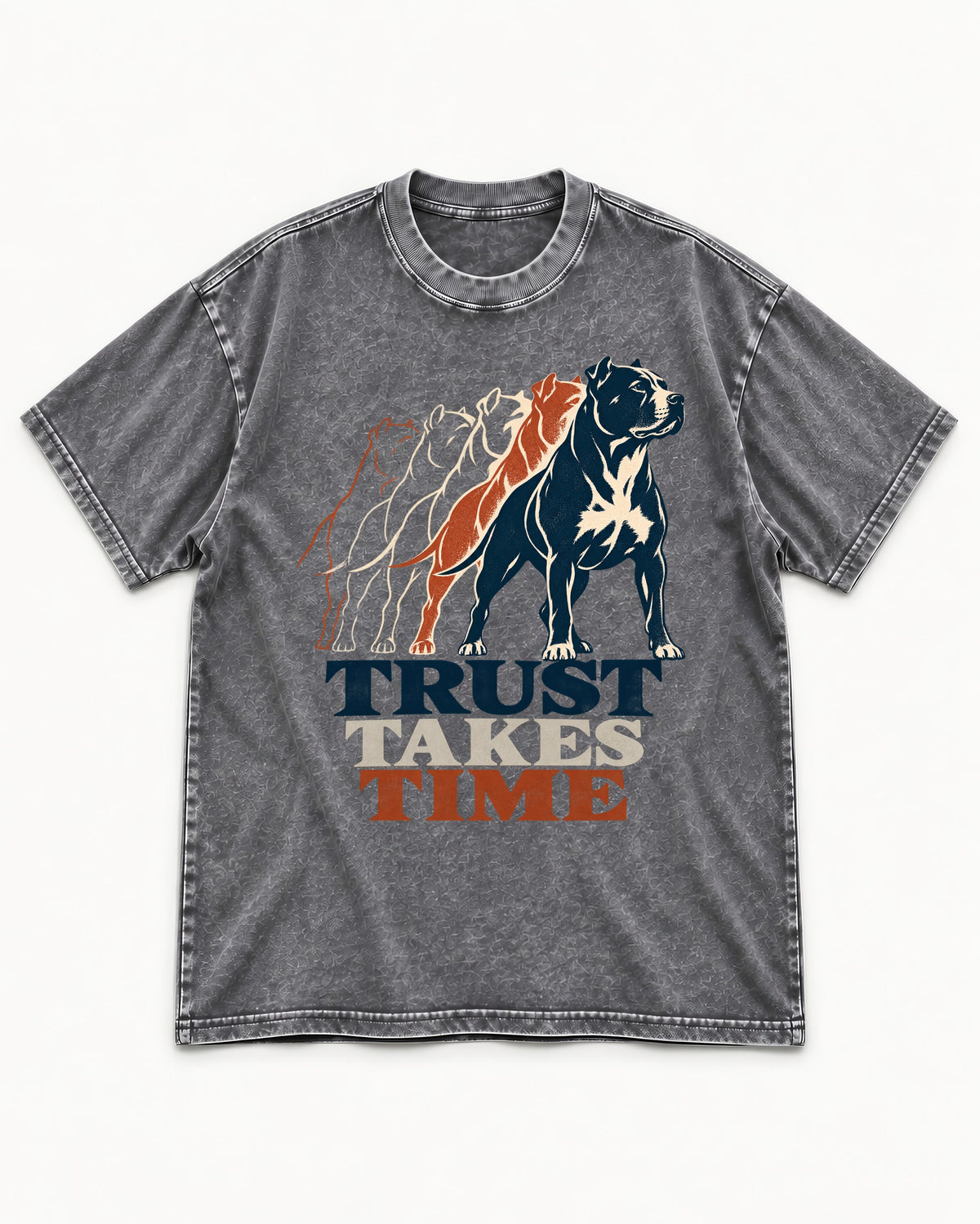 Pitbull Trust Takes Time Progression Graphic Washed Tee in Gray, flat lay product photo