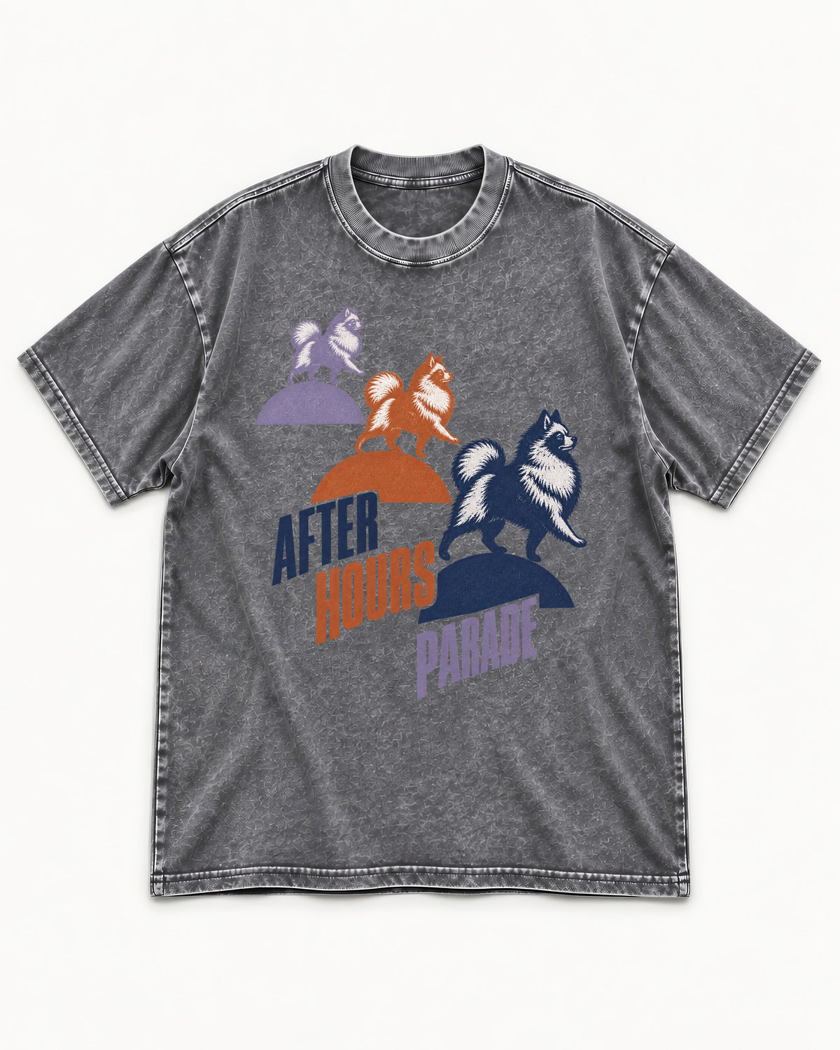 Pomeranian After Hours Parade Washed Tee in Gray, flat lay product photo