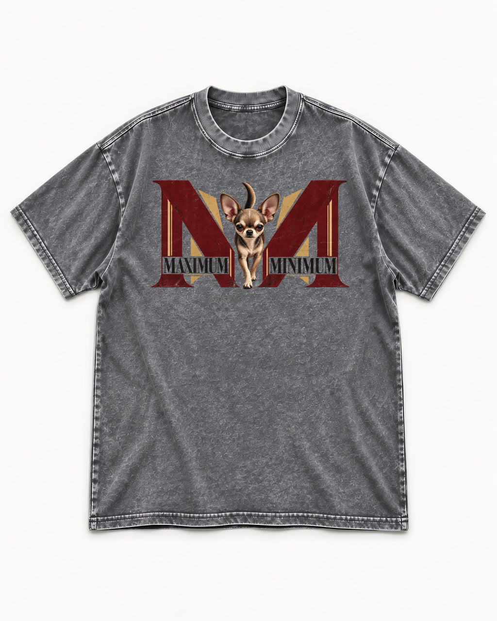 Maximum Minimum Chihuahua Washed Tee in Gray, flat lay product photo