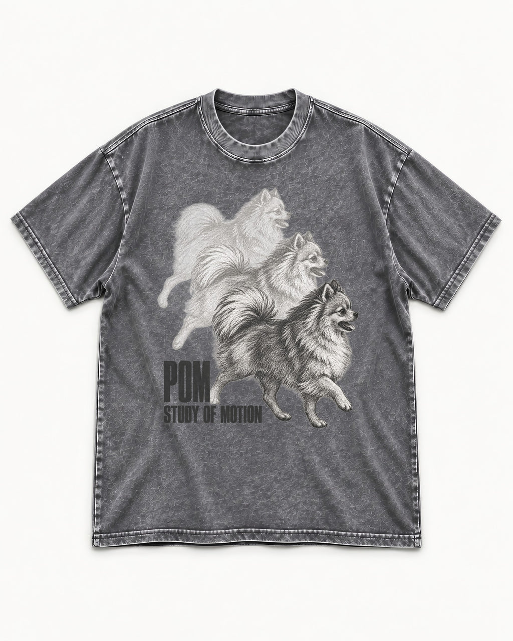 Pomeranian Study of Motion Washed Tee in Gray, flat lay product photo