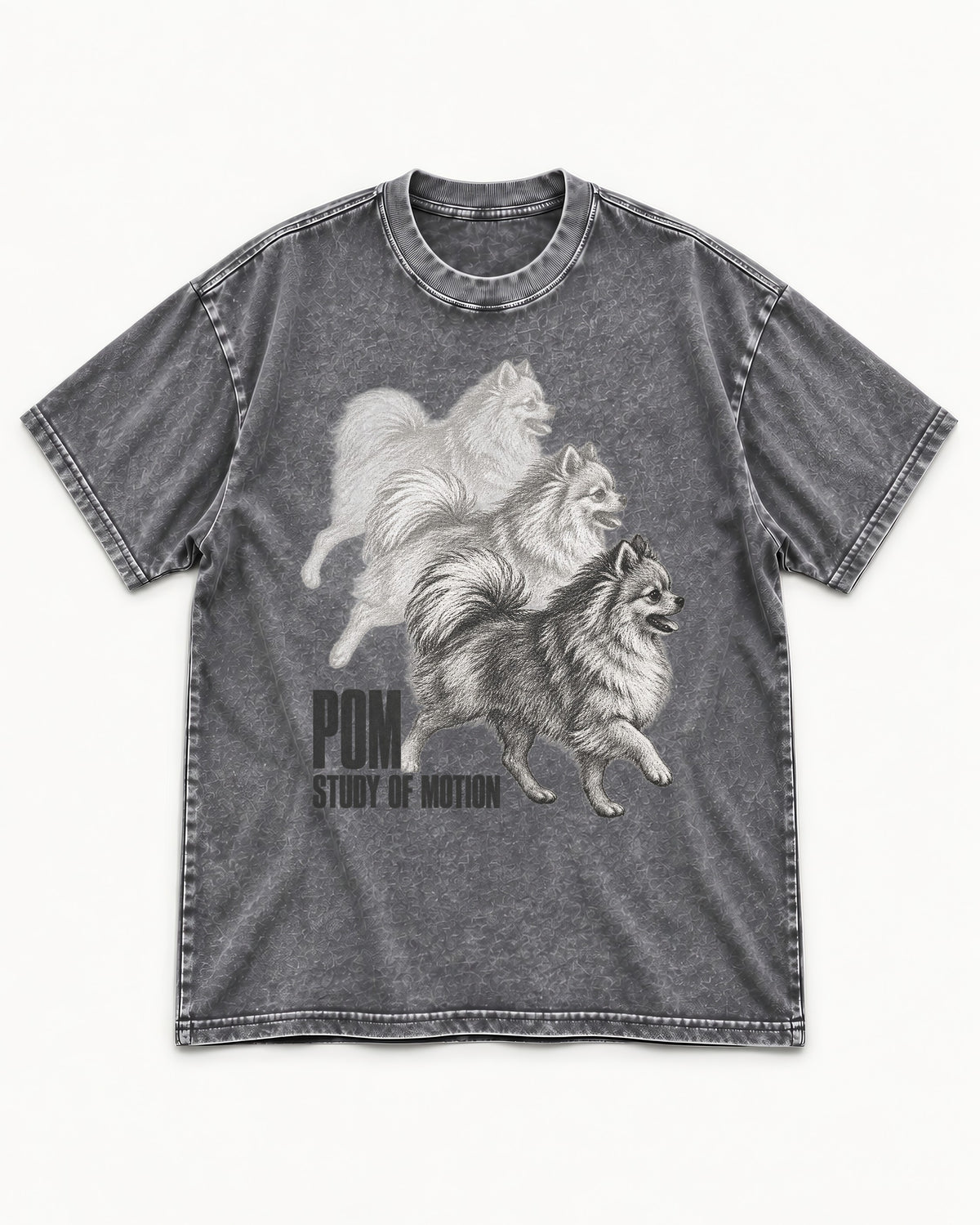 Pomeranian Study of Motion Washed Tee in Gray, flat lay product photo