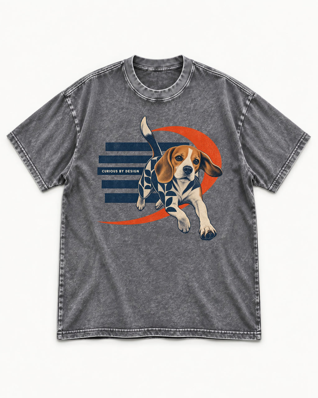 Beagle Born Curious Washed Tee in Gray, flat lay product photo
