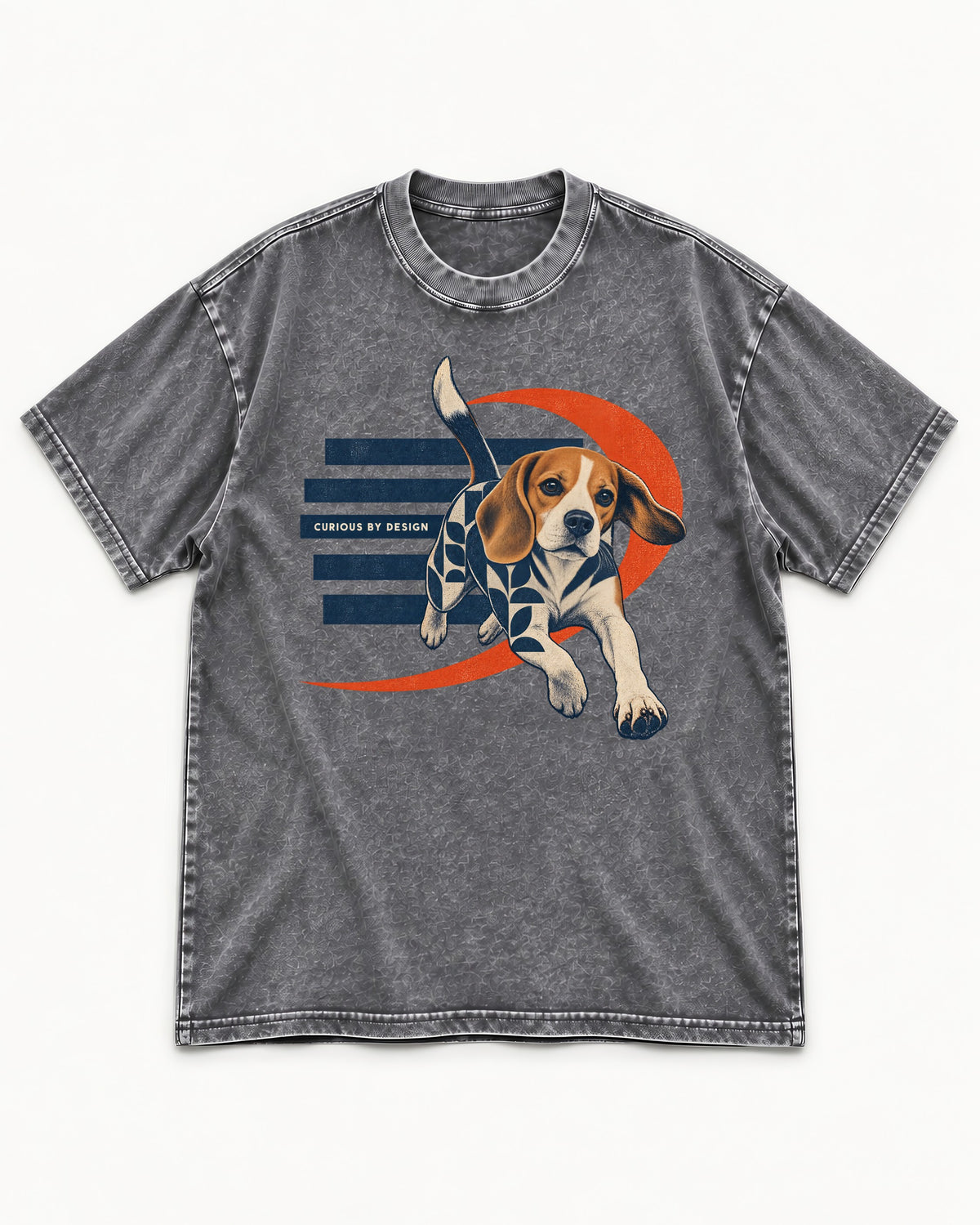 Beagle Born Curious Washed Tee in Gray, flat lay product photo