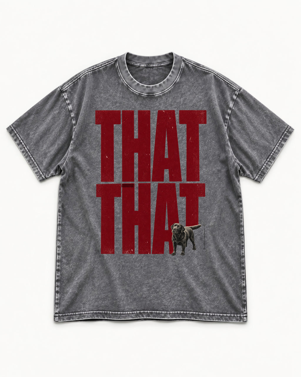 That That Labrador Retriever Washed Tee in Gray, flat lay product photo