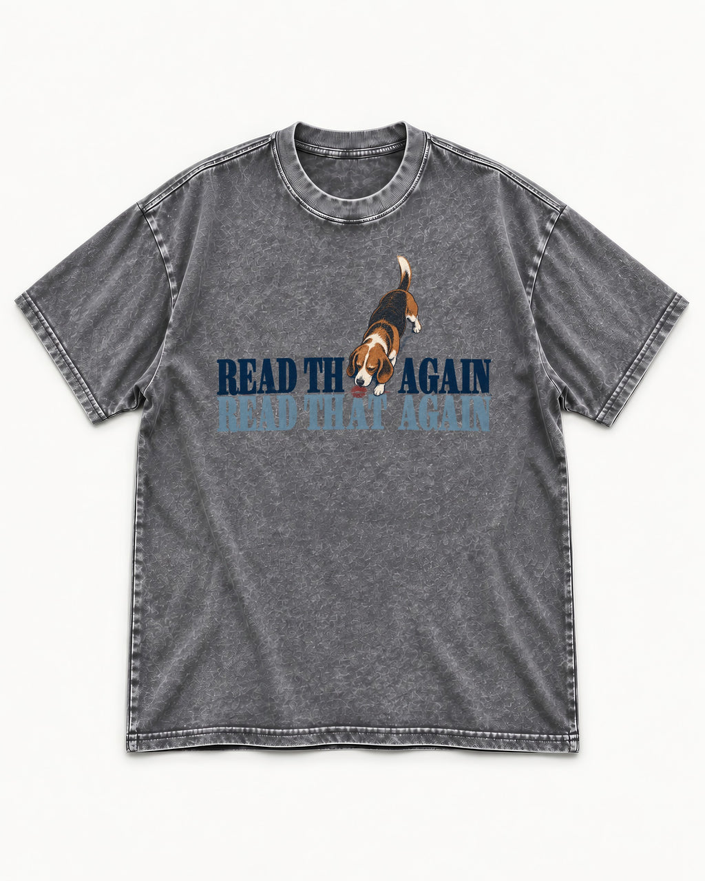 Read That Again Beagle Washed Tee in Gray, flat lay product photo
