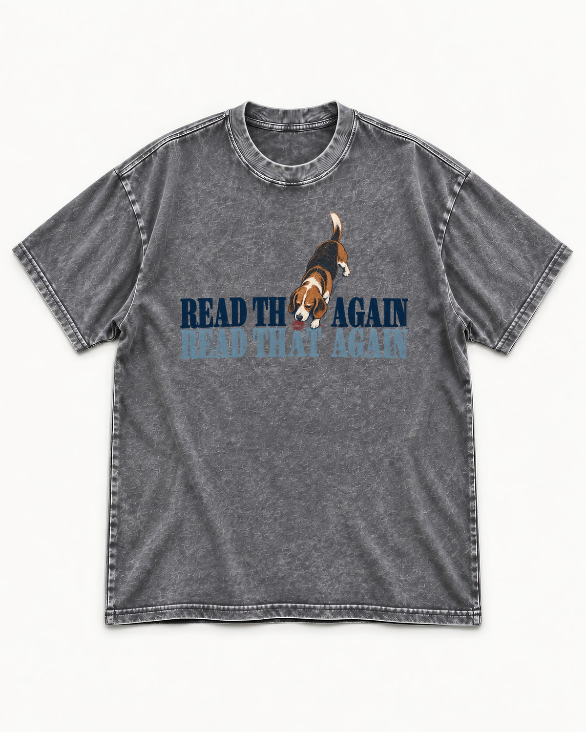 Read That Again Beagle Washed Tee in Gray, flat lay product photo