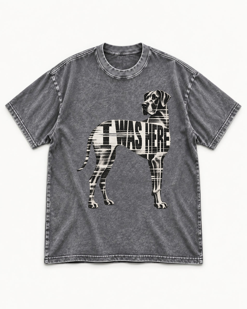 Great Dane I Was Here Plaid Silhouette Graphic Washed Tee in Gray, flat lay product photo