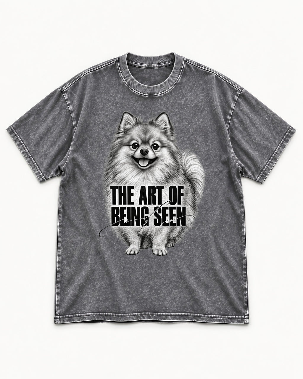 Pomeranian The Art of Being Seen Portrait Graphic Washed Tee in Gray, flat lay product photo