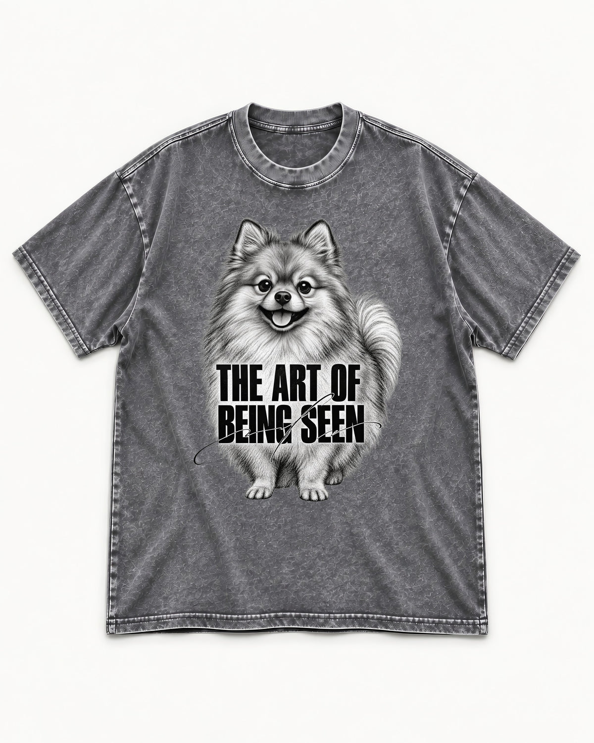 Pomeranian The Art of Being Seen Portrait Graphic Washed Tee in Gray, flat lay product photo