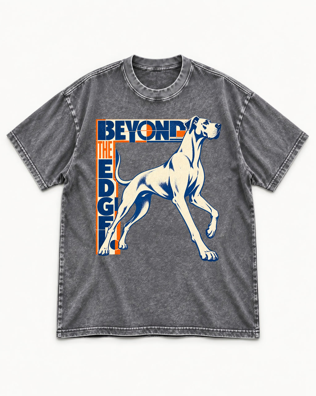 Great Dane Beyond the Edge Washed Tee in Gray, flat lay product photo