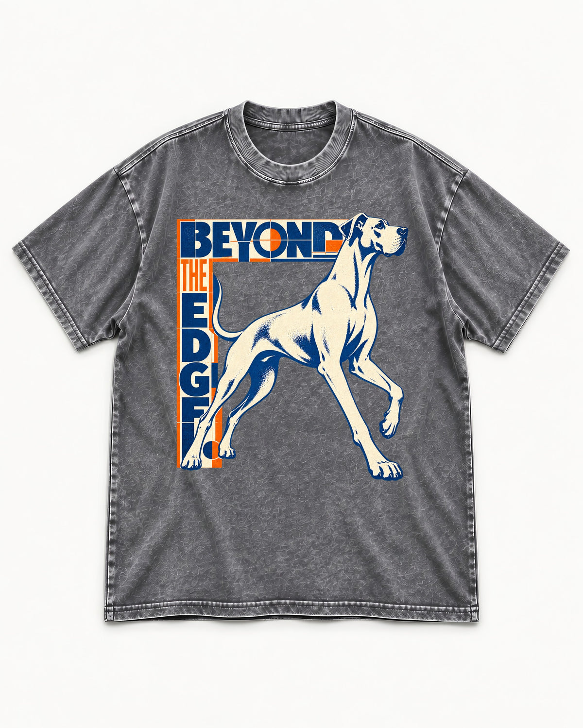 Great Dane Beyond the Edge Washed Tee in Gray, flat lay product photo