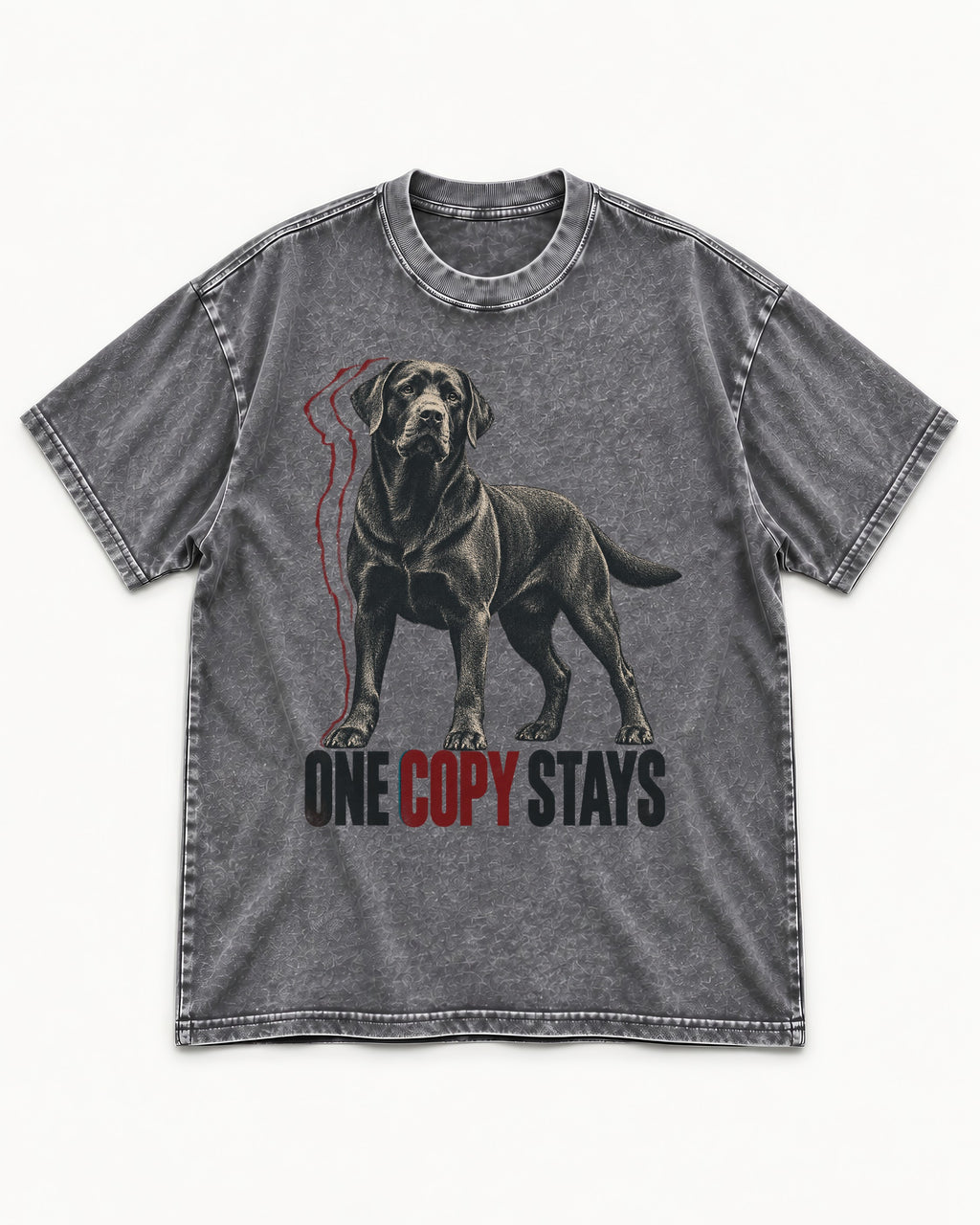 One Copy Stays Labrador Retriever Washed Tee in Gray, flat lay product photo