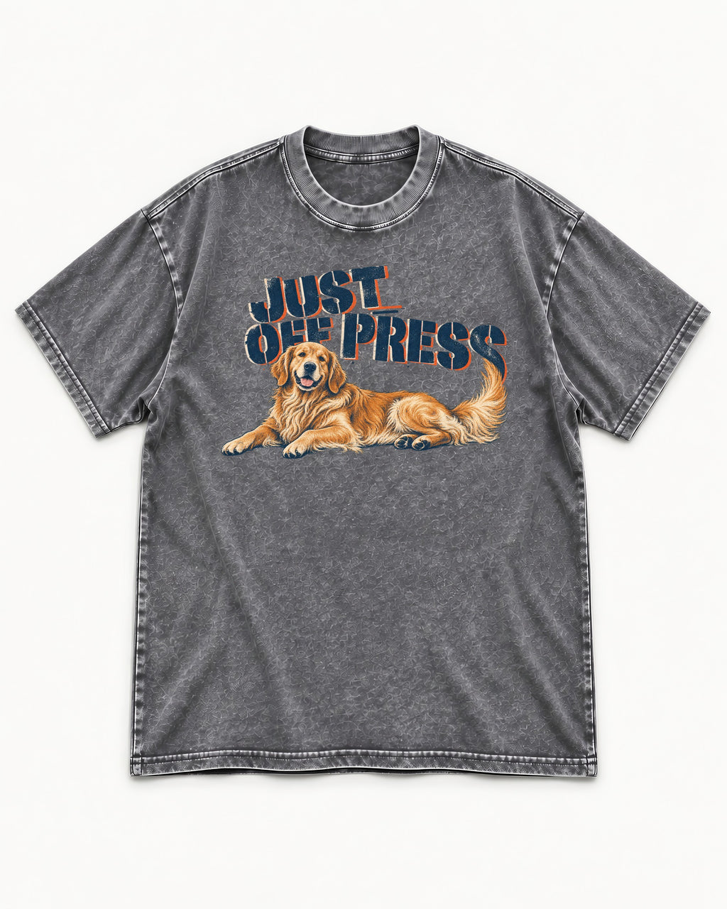 Golden Retriever Just Off Press Washed Tee in Gray, flat lay product photo