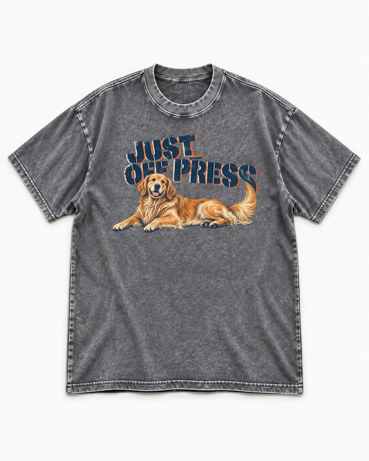 Golden Retriever Just Off Press Washed Tee in Gray, flat lay product photo