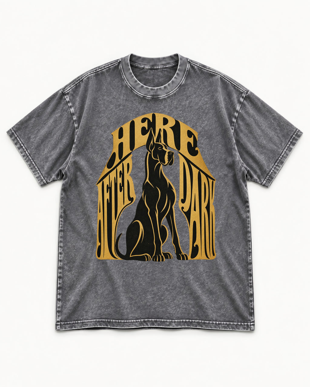 Great Dane Here After Dark Washed Tee in Gray, flat lay product photo