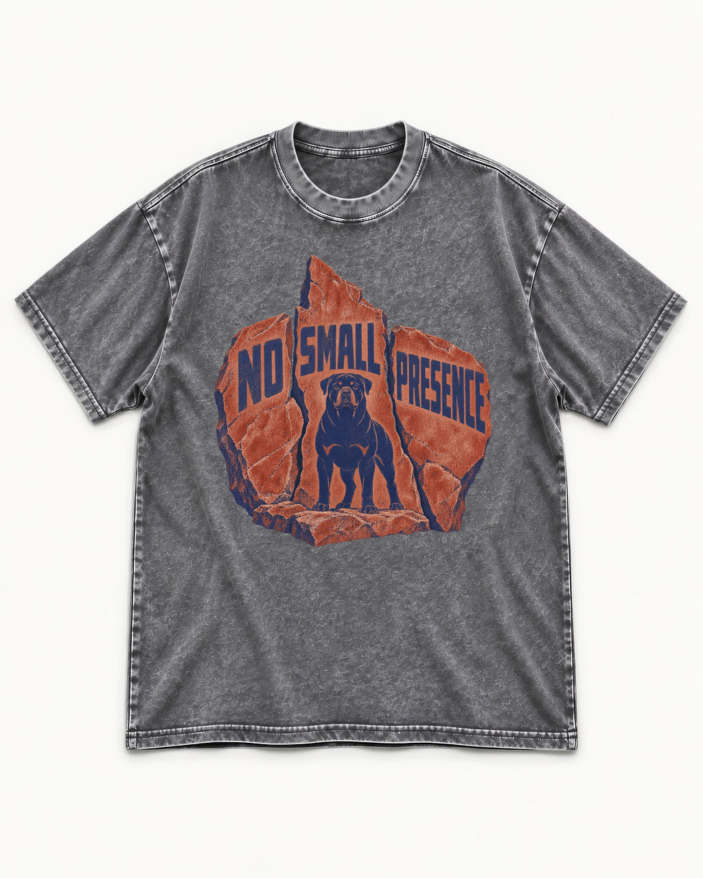 Rottweiler No Small Presence Monument Rock Graphic Washed Tee in Gray, flat lay product photo