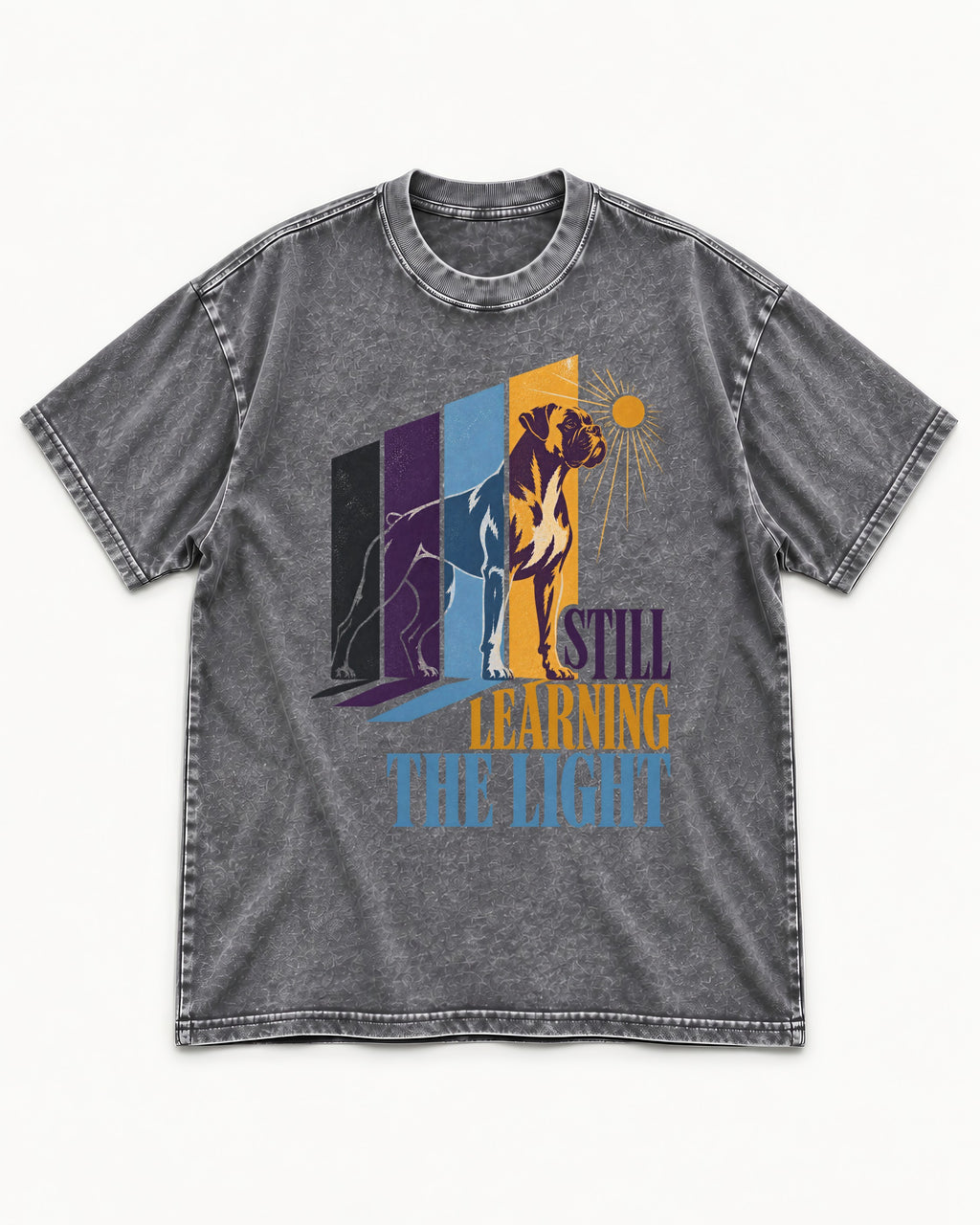 Still Learning the Light Boxer Doorway Progression Graphic Washed Tee in Gray, flat lay product photo