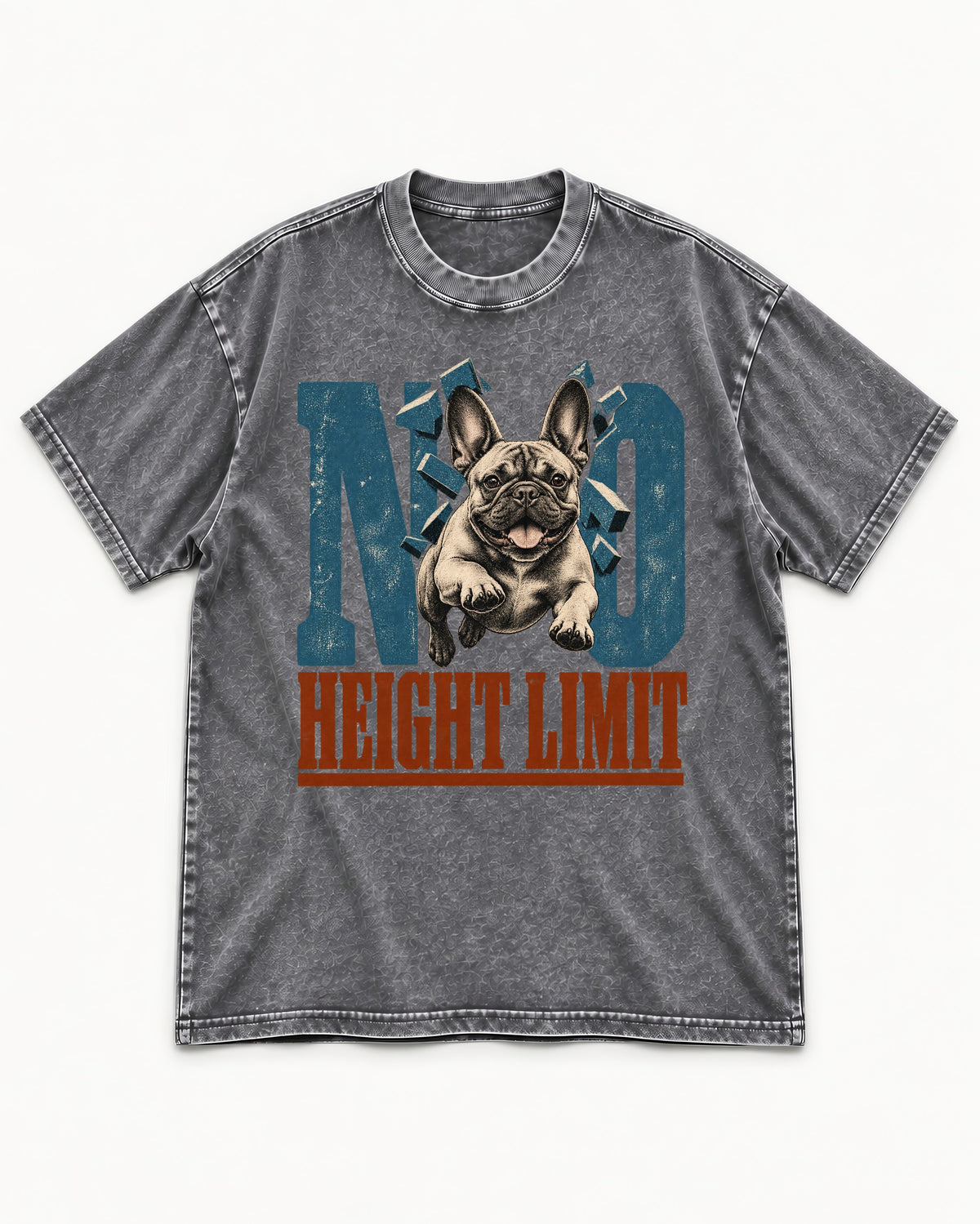 No Height Limit Frenchie Washed Tee in Gray, flat lay product photo