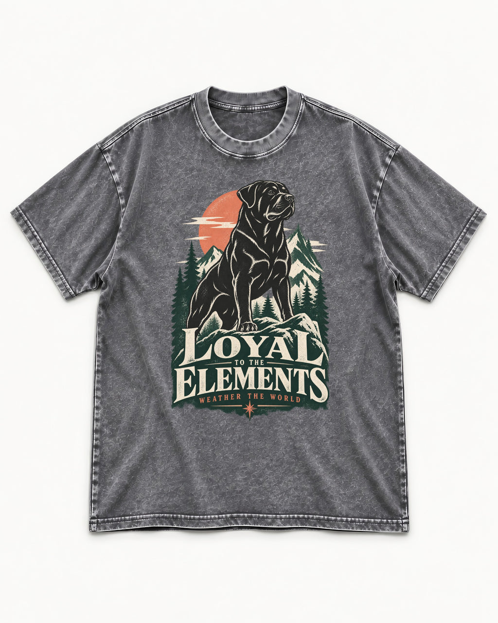 Rottweiler Loyal to the Elements Washed Tee in Gray, flat lay product photo