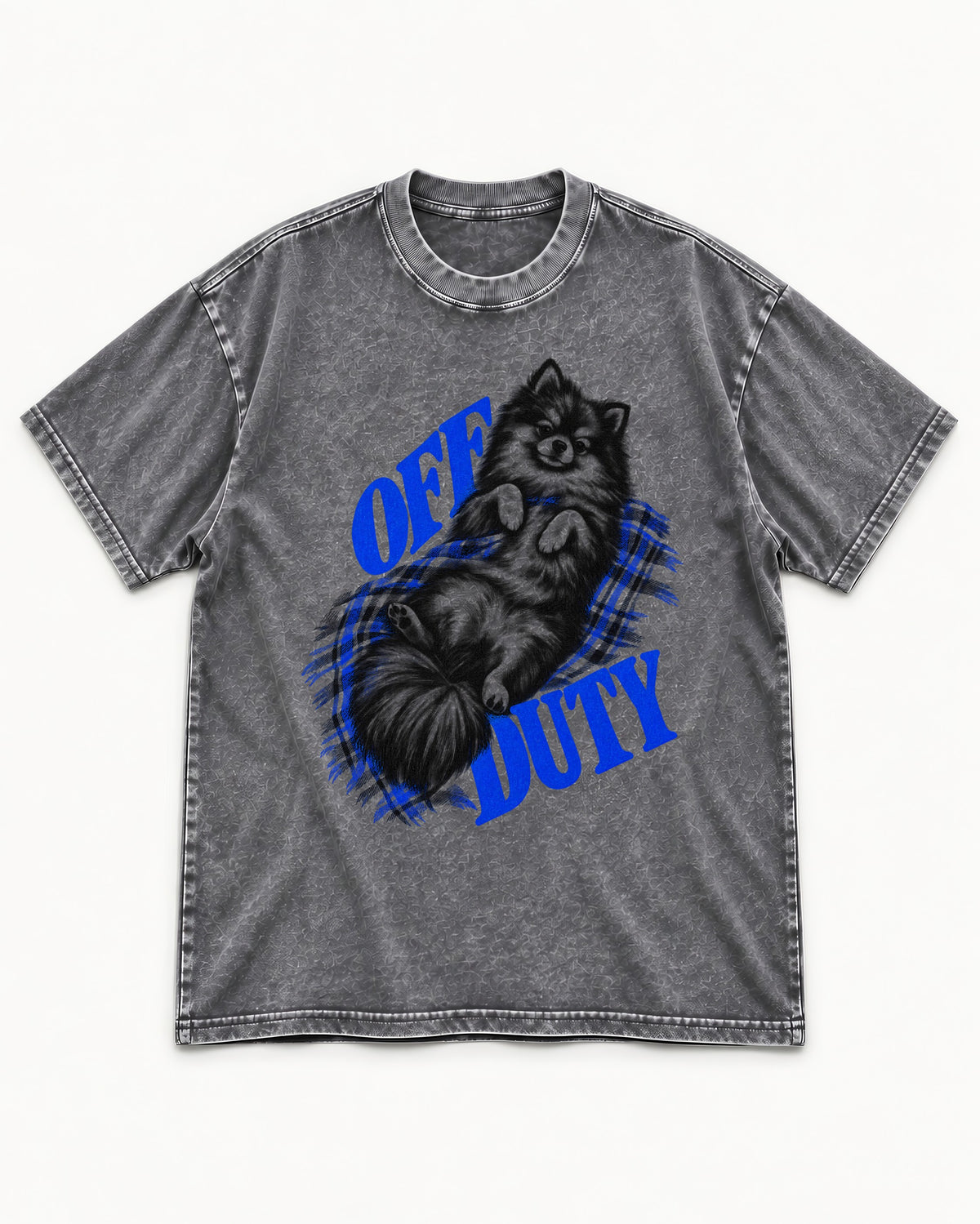 Off Duty Pomeranian Washed Tee in Gray, flat lay product photo
