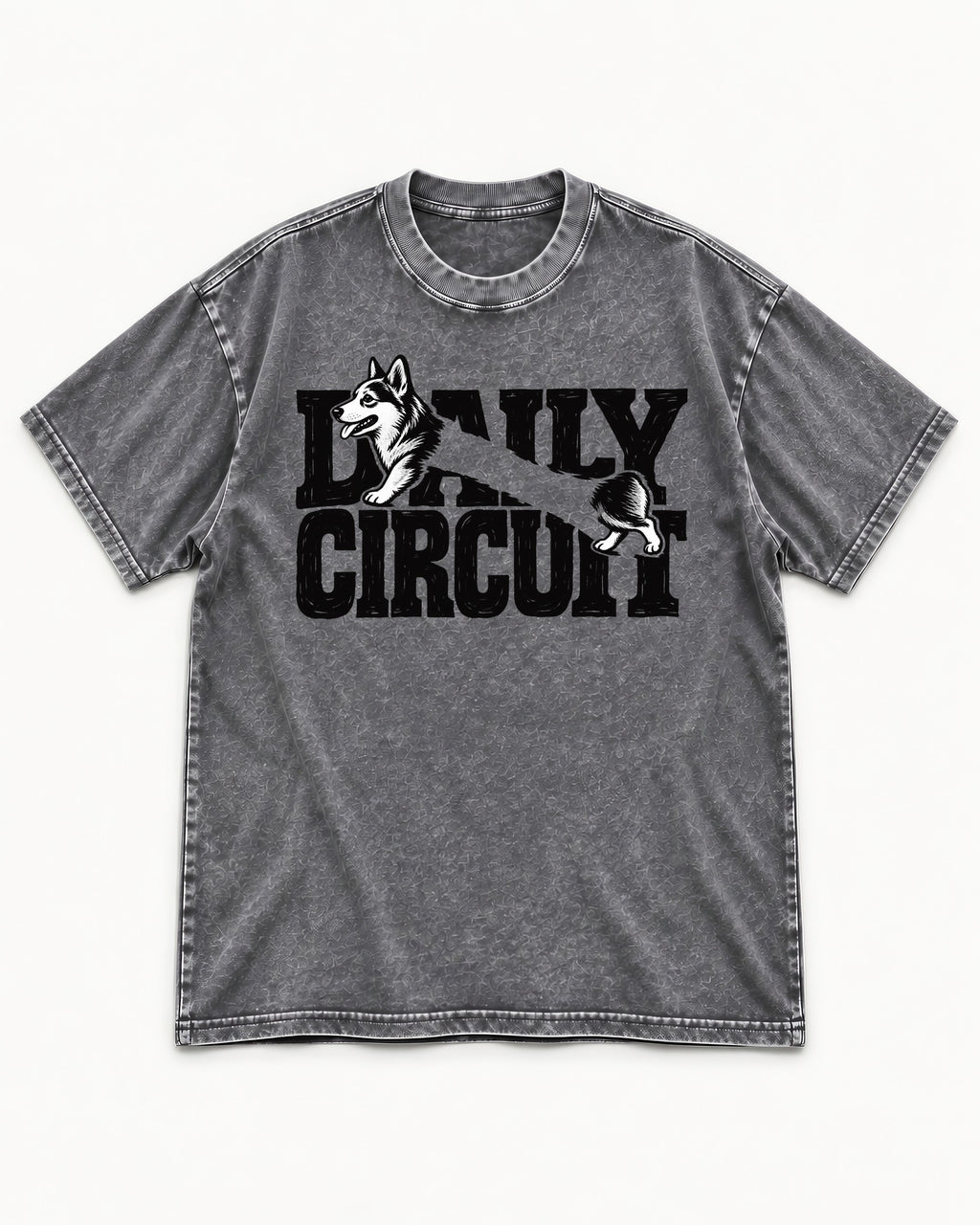 Daily Corgi Circuit Washed Tee in Gray, flat lay product photo