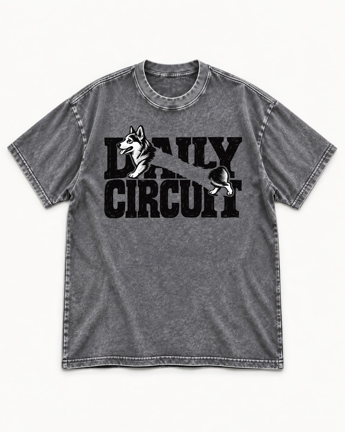 Daily Corgi Circuit Washed Tee in Gray, flat lay product photo