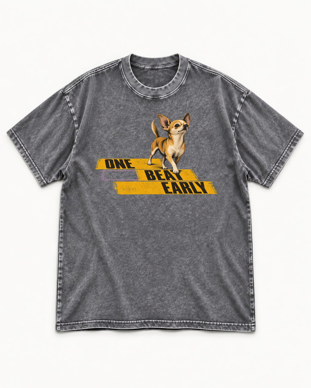 One Beat Early Chihuahua Washed Tee in Gray, flat lay product photo