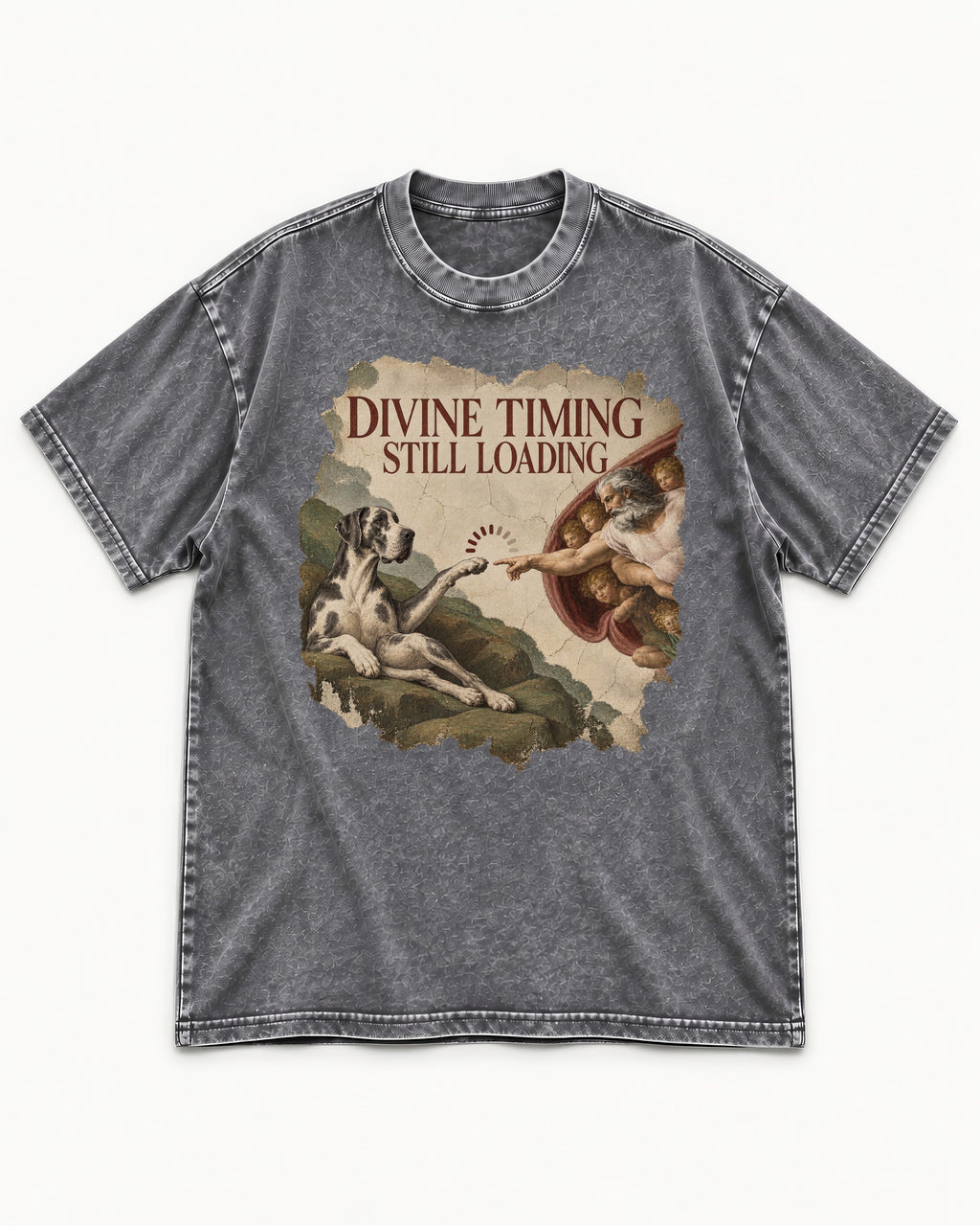 Great Dane Divine Timing Still Loading Washed Tee in Gray, flat lay product photo