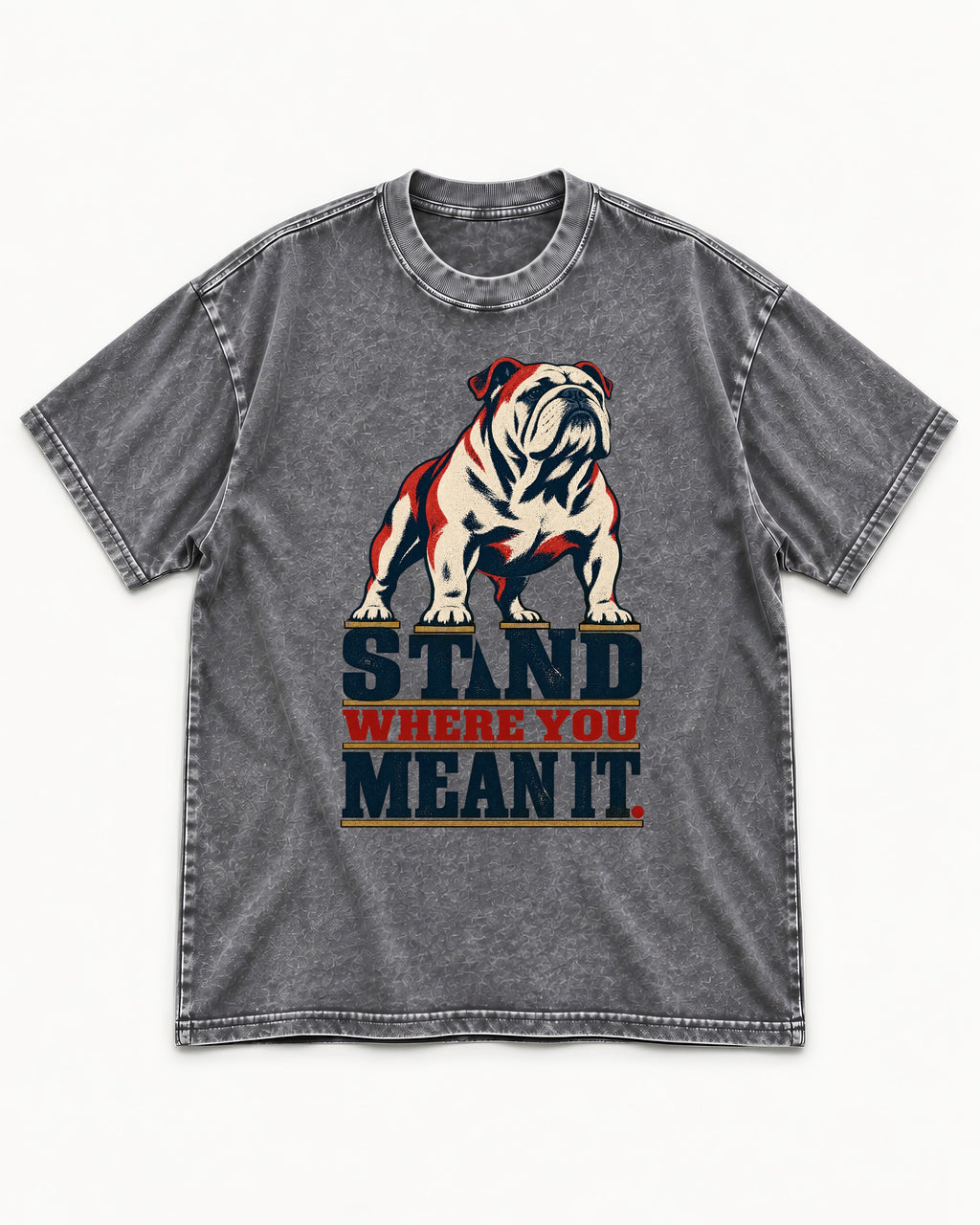 English Bulldog Stand Washed Tee in Gray, flat lay product photo