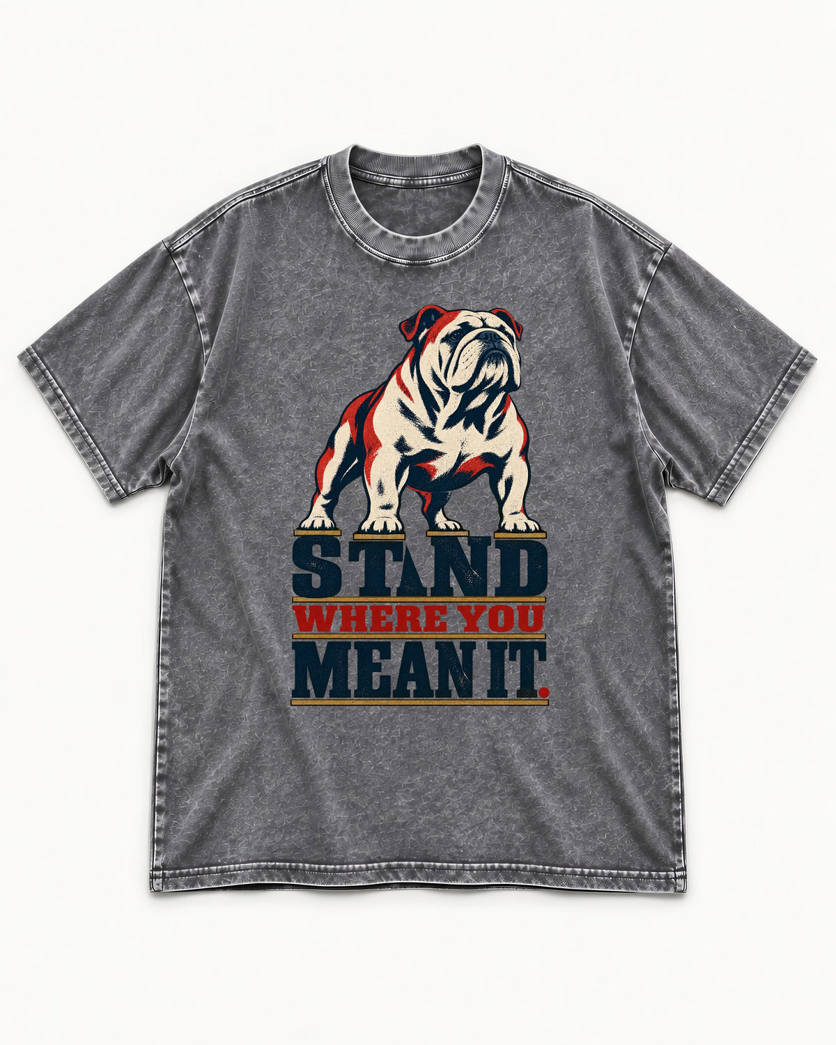 English Bulldog Stand Washed Tee in Gray, flat lay product photo