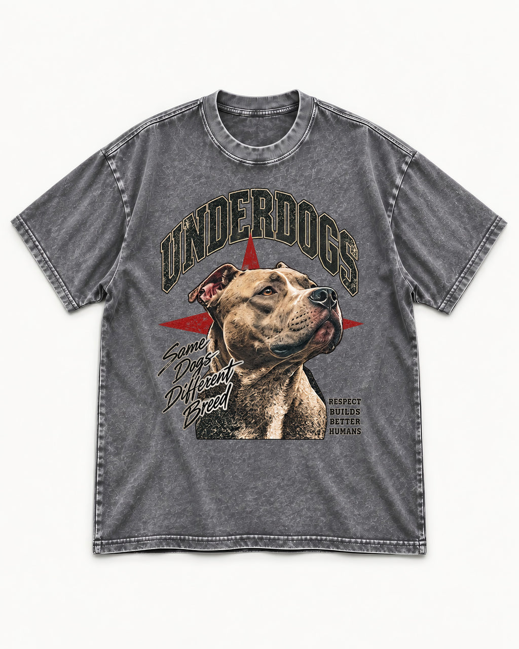 Pitbull Underdogs Same Dogs Different Breed Portrait Graphic Washed Tee in Gray, flat lay product photo