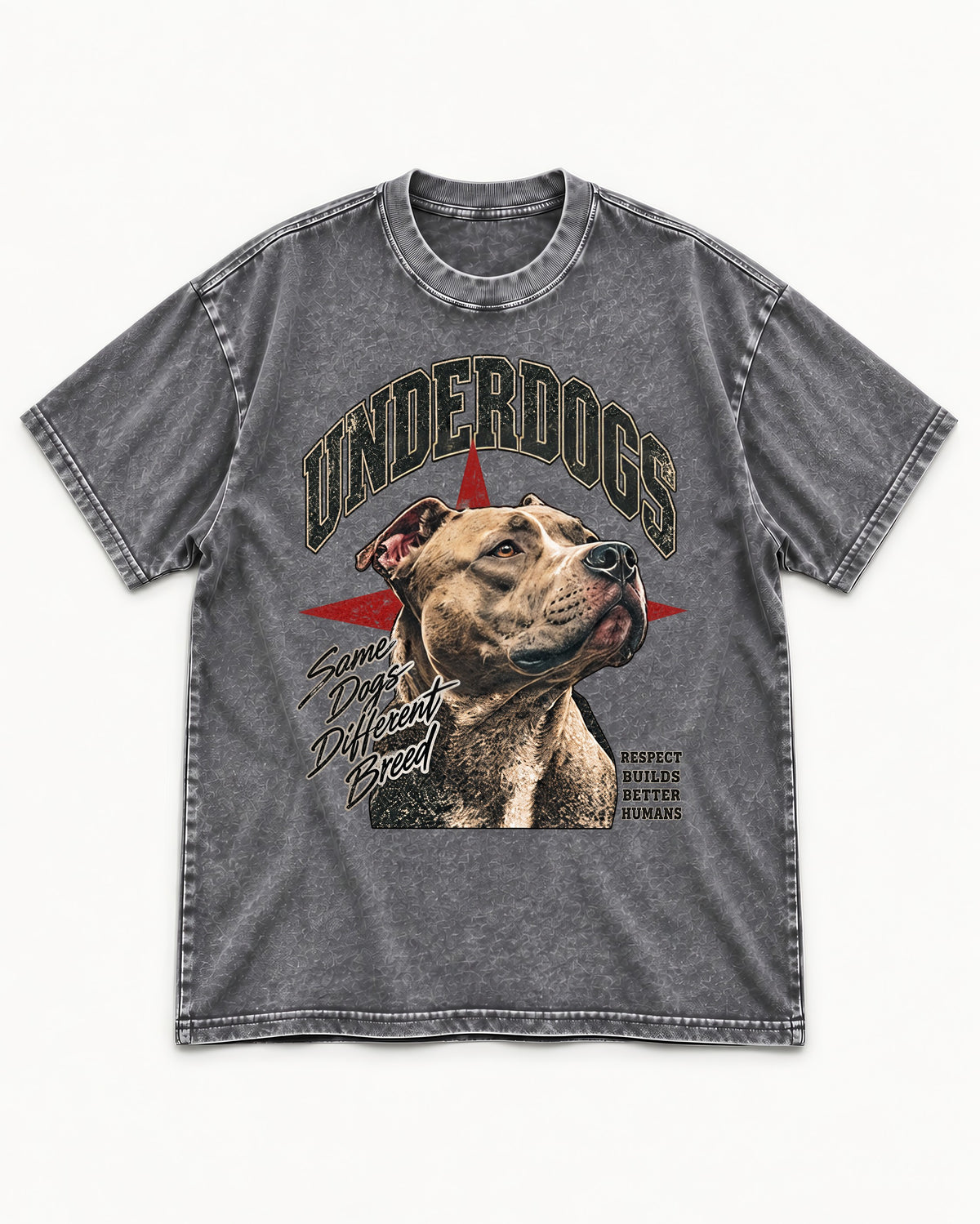 Pitbull Underdogs Same Dogs Different Breed Portrait Graphic Washed Tee in Gray, flat lay product photo