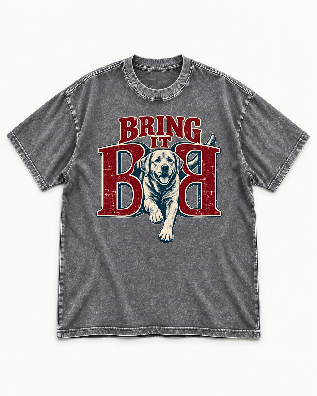 Labrador Retriever Bring It Opposing B Portrait Graphic Washed Tee in Gray, flat lay product photo