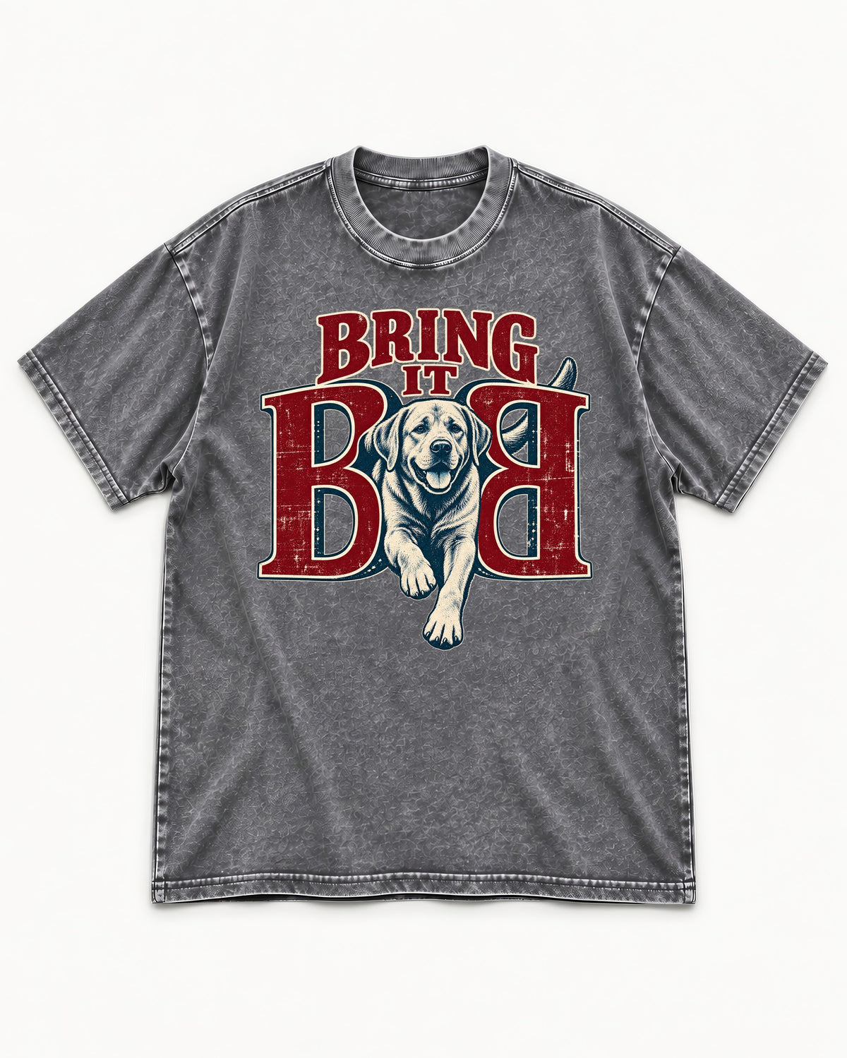 Labrador Retriever Bring It Opposing B Portrait Graphic Washed Tee in Gray, flat lay product photo