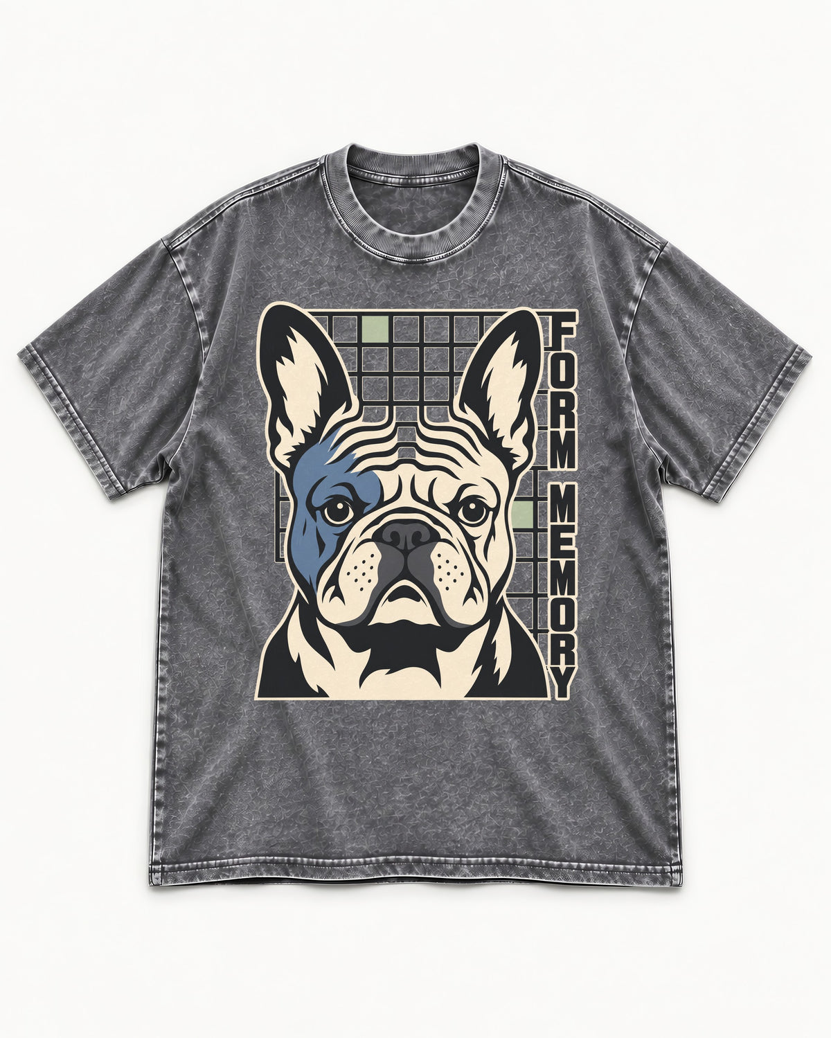 Form Memory Frenchie Washed Tee in Gray, flat lay product photo